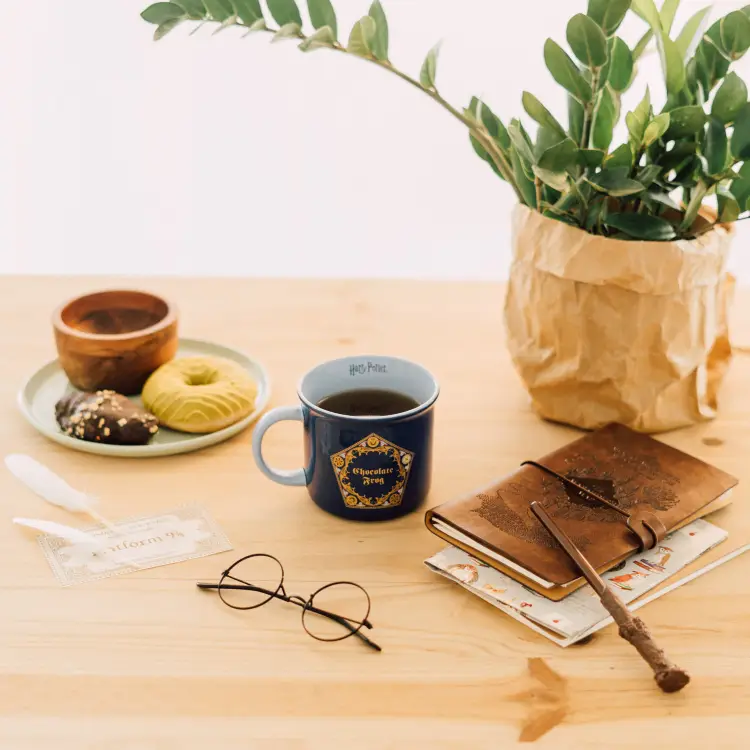 Grupo Erik - HARRY POTTER - Chocolate Frog - Mug 12,8oz