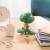 Grupo Erik - SNOOPY - Bookend