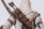 PureArts - ASSASSIN'S CREED 3 - Connor -Statue Animus 1/8 27cm