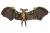 Neca - GREMLINS 2 - Bat Gremlins - Deluxe Figure 15cm
