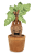 Play by Play - HARRY POTTER - Mandrake Plush With Sound - 25cm