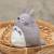 Semic - MY NEIGHBOR TOTORO - Totoro - Otega Plush 12cm