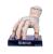 Play by Play - WEDNESDAY - Thing - 3 Assortments Plushes 25cm + Holders - 12pc.