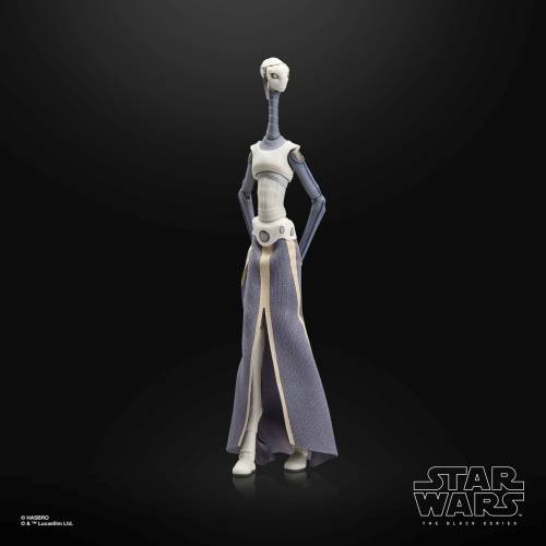Hasbro - STAR WARS 2 - Taun We - Figure Black Series 15cm