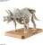 Bandai Model Kit - DINOSAUR - New Dinosaur Plastic Triceratops (Tentative) - Model Kit