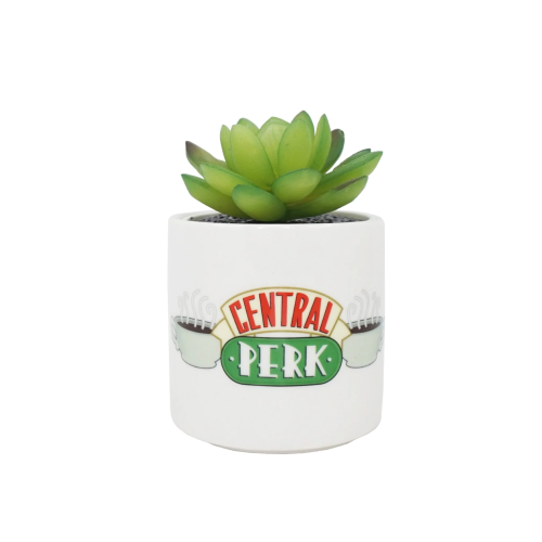 HMB - FRIENDS - Central Perk - Faux Plant Pot 6.5cm