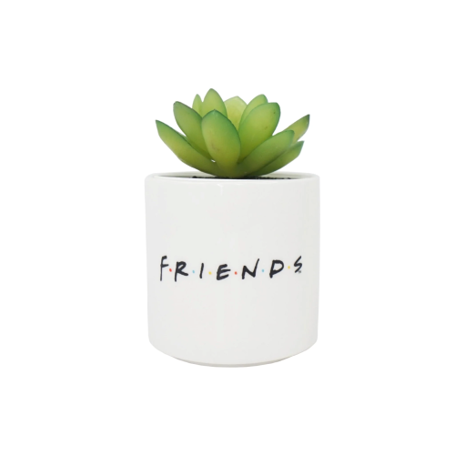 HMB - FRIENDS - Central Perk - Faux Plant Pot 6.5cm