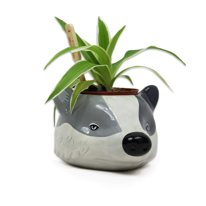 HMB - HARRY POTTER - Hufflepuff - Plant Pot