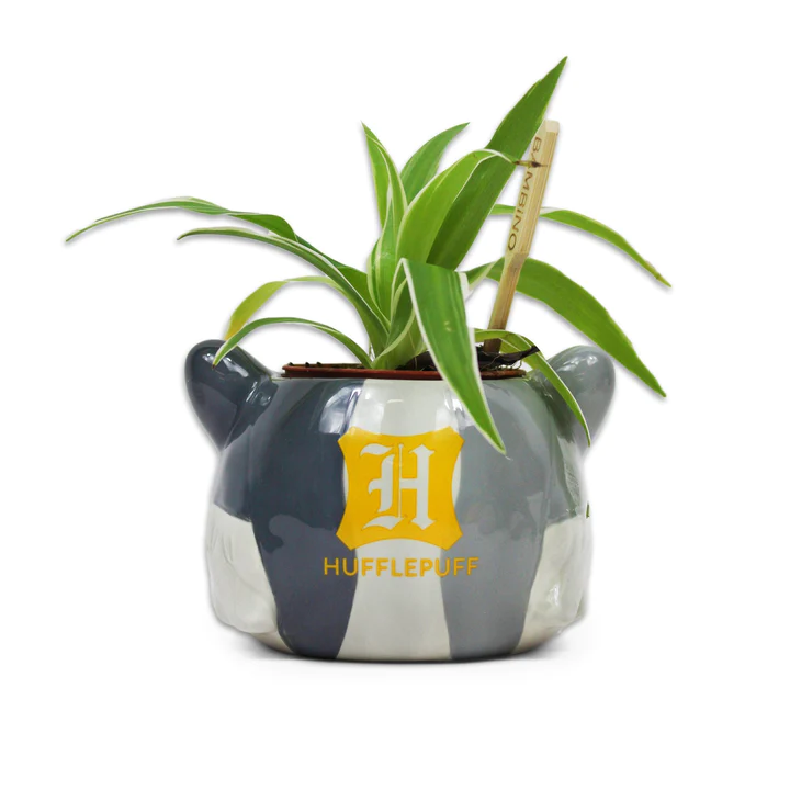 HMB - HARRY POTTER - Hufflepuff - Plant Pot