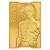 Fanattik - METAL GEAR SOLID 2 - Raiden - Limited Edition Ingot