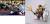 Bandai Model Kit - GUNDAM - BB404 LegendBB Musha Gundam MK-III - Model Kit