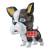 Banpresto - JOJO PART 3 - Iggy (Version A) - Figure Clear Figure 7cm