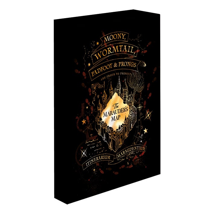 Pyramid - HARRY POTTER - Marauders Map - Light Canvas 40X30 Cm
