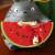 Benelic - MY NEIGHBOR TOTORO - Totoro Watermelon -Planter Frame 16.5x13.5x18.5cm
