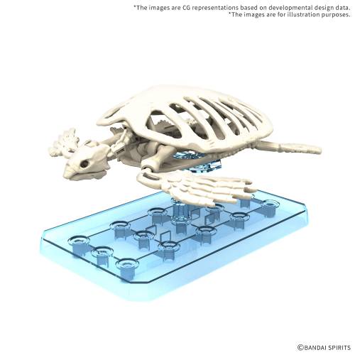 Bandai Model Kit - PLANNOSAURUS - Archelon - Model Kit