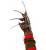 Neca - NIGHTMARE ON ELM STREET 3 - Dream Warriors Glove Prop Replica