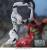 Sega Goods - EVANGELION - Eva Mass The End Of Evangelion - Figure XrossLink 18cm