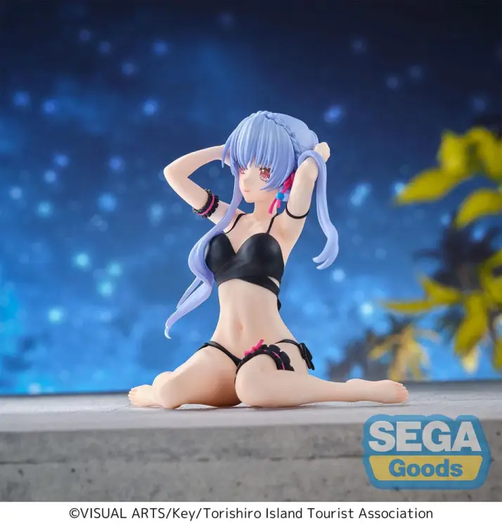 x_sega45903_c.jpg