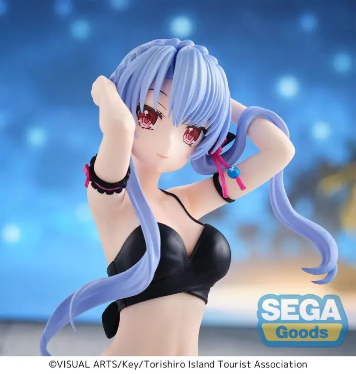 x_sega45903_d.jpg