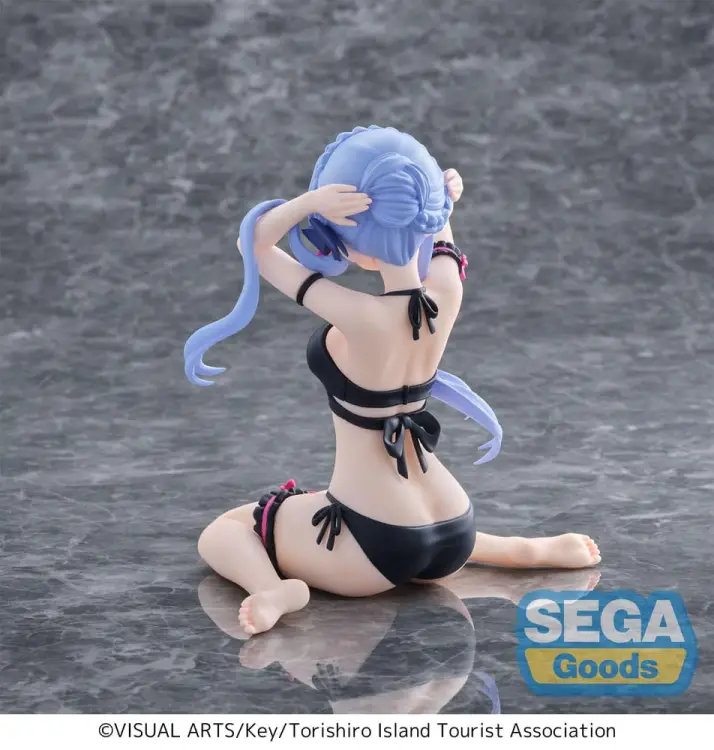 x_sega45903_f.jpg