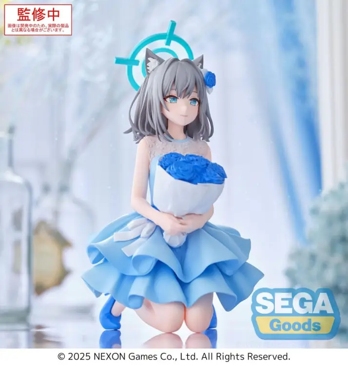 x_sega45893_d.jpg