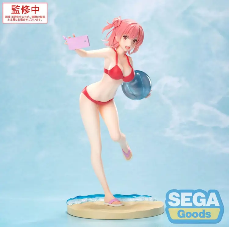 x_sega45310.jpg