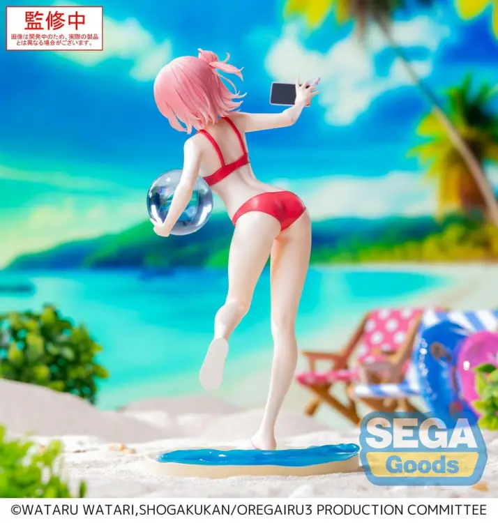 x_sega45310_c.jpg