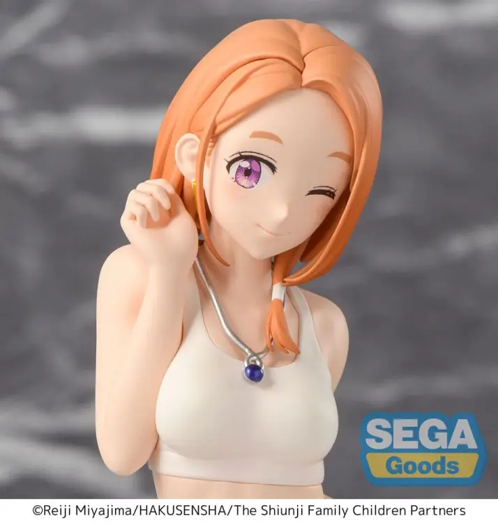 x_sega45240_a.jpg