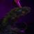 x_is5617_h.jpg