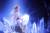 x_ktoag001_s.jpg
