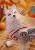 Goodsmile - OKAMI - Okami Amaterasu - Pop Up Parade 13cm