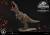 x_p1spcfjw-01-a_j.jpg