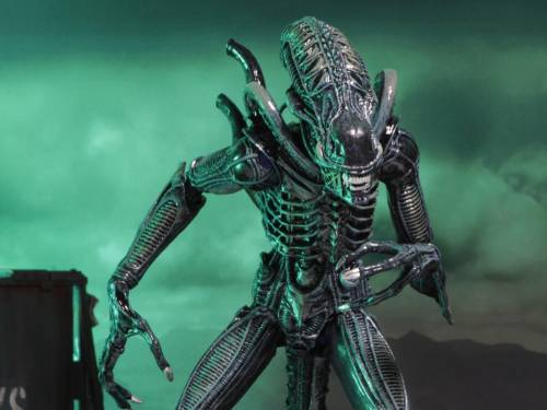 Neca - ALIENS - Warrior Alien Blue - Figure Ultimate 23cm