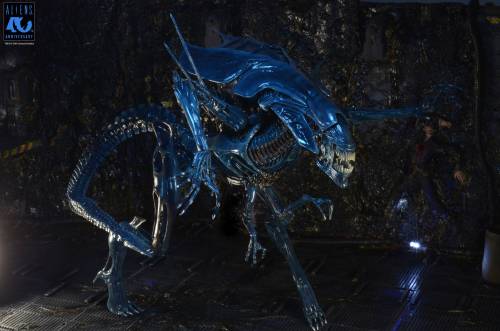 Neca - ALIENS 40TH ANNIVERSARY - Alien Queen - Figure Ultra Deluxe 37cm