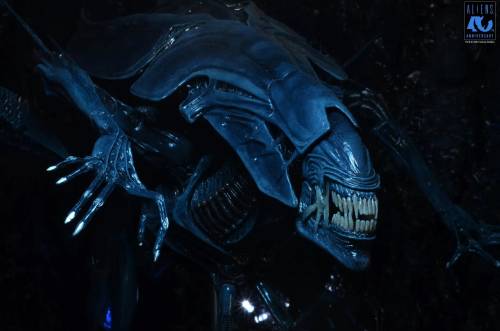 Neca - ALIENS 40TH ANNIVERSARY - Alien Queen - Figure Ultra Deluxe 37cm