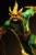 x_is95934_f.jpg